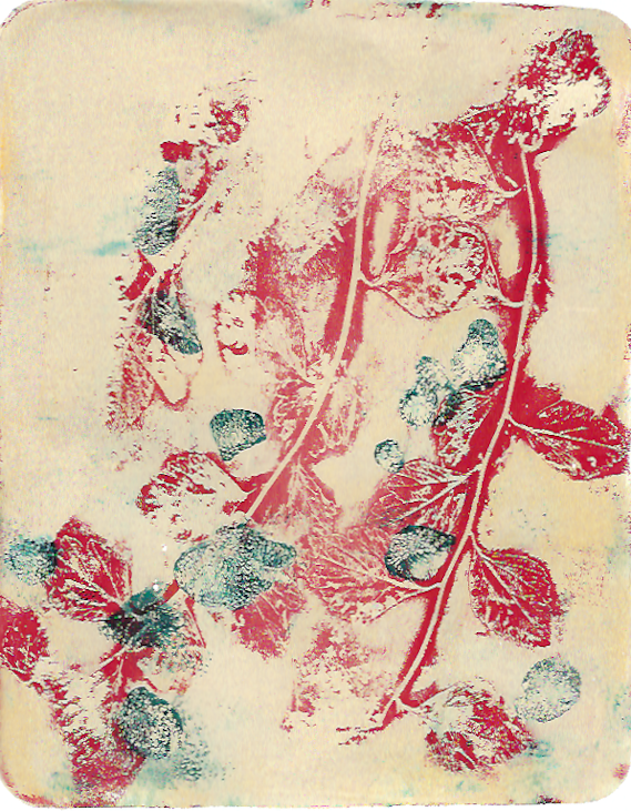 print of Alazarin crimson stems and leaves, and blue petals on ecru background